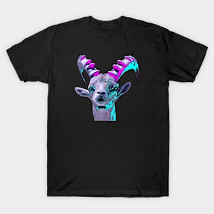 Capricorn / Swiss Artwork Photography T-Shirt